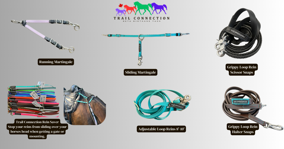 Replacement, Training Aids & Accessories