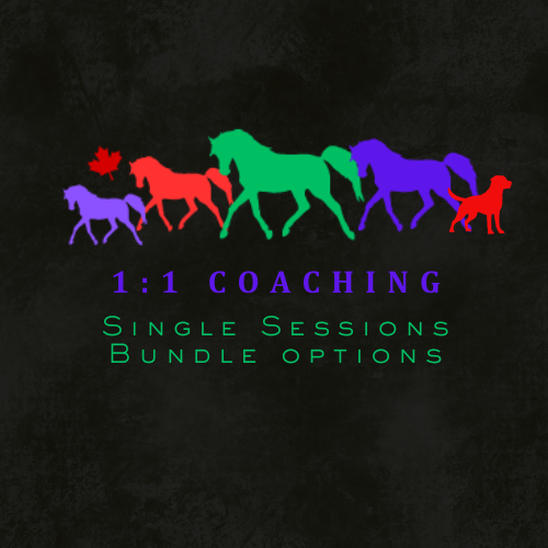 1:1 Bundle Coaching Sessions