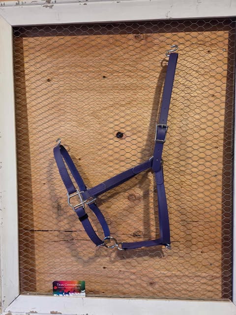 Small Basic Halter - Purple
