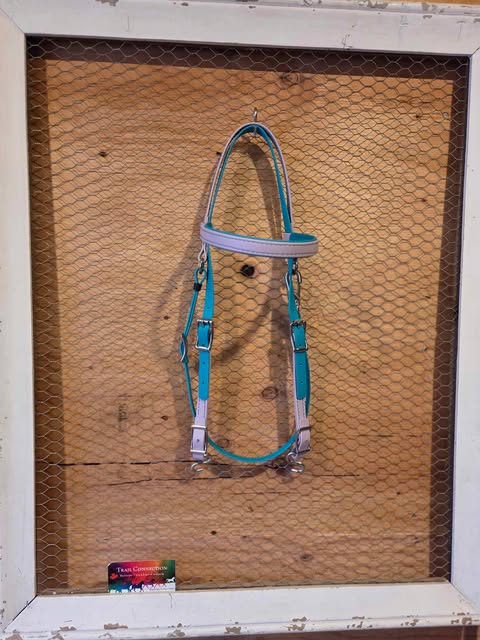 Average Simplicity Bridle - Mermaid
