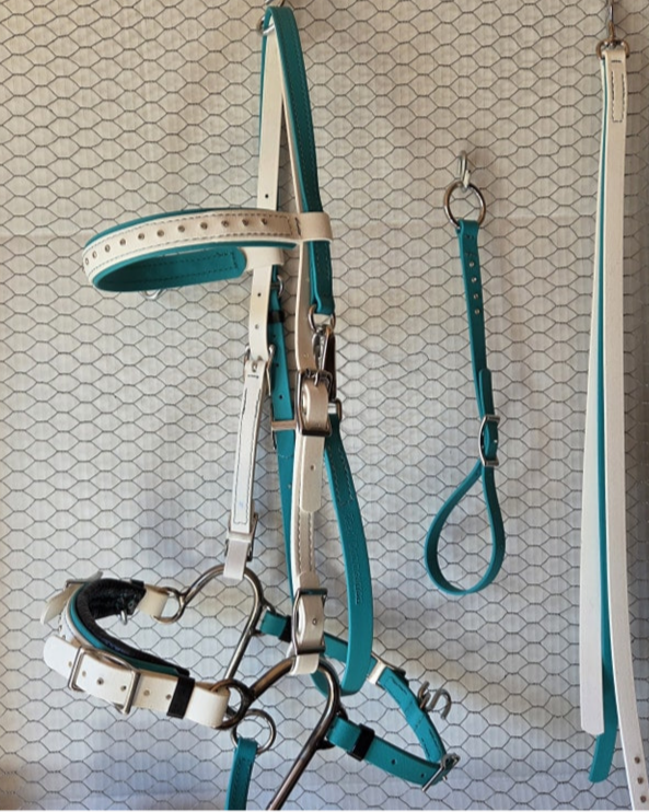 Beta Biothane Custom Tack
