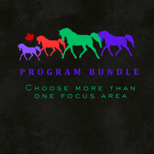 Bundle Programs 2 Focus Areas