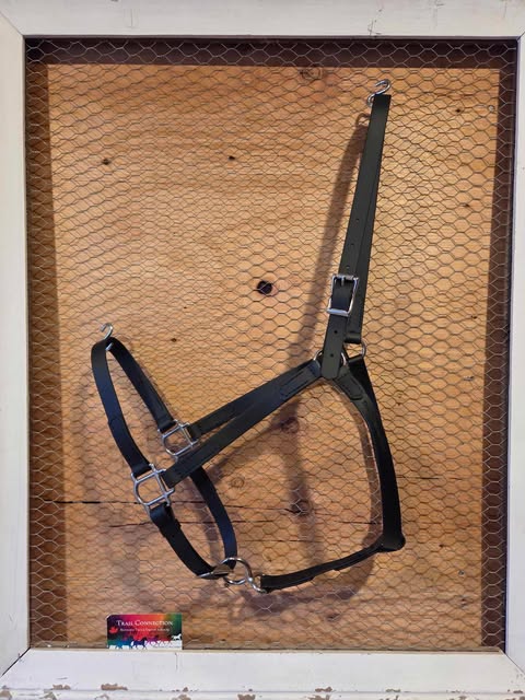 Large Basic Halter - Black