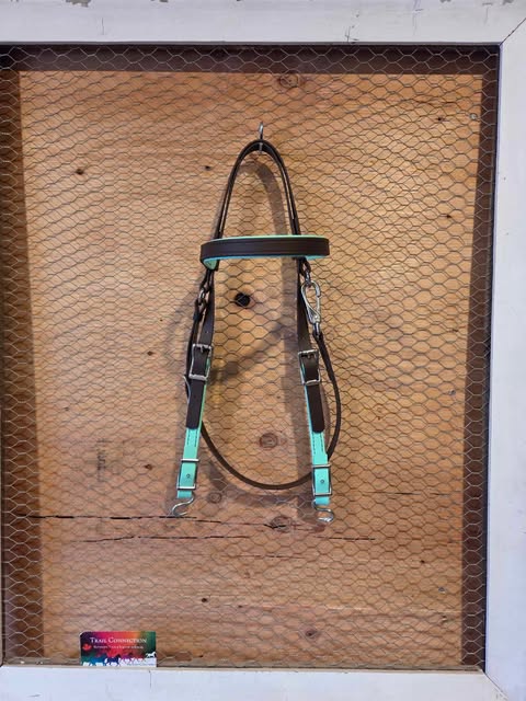 Small Simplicity Bridle - Chocolate Chip Mint